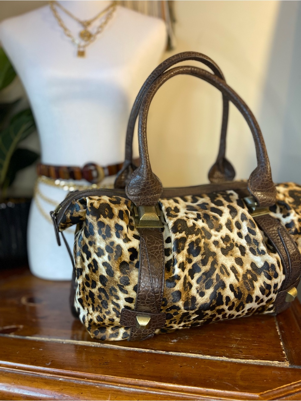 Jessica Simpson Leopard Print Satchel with Brown Trim